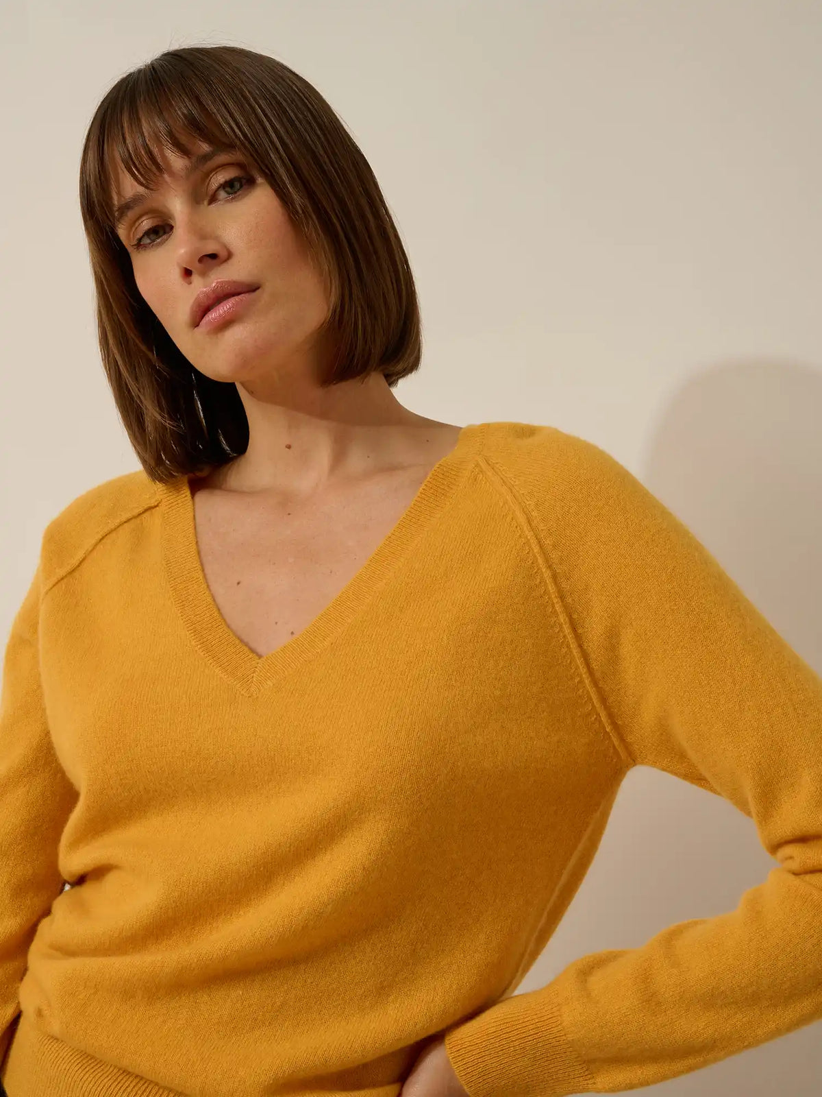 PHOEBE Pull Col V Curcuma