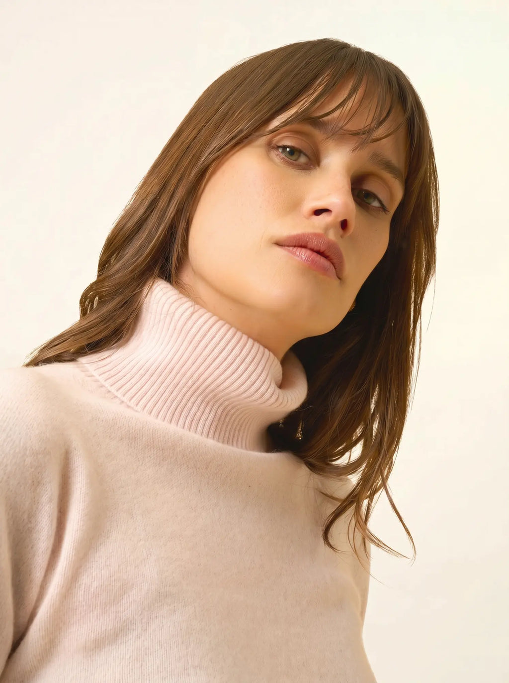 LEXIE Pull Col Roulé Poudre