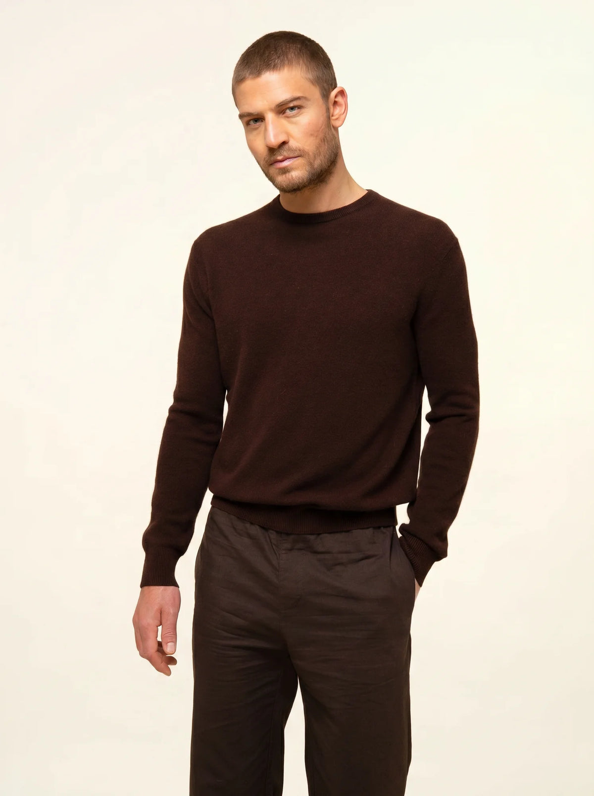 HOWARD Pull Col Rond Choco