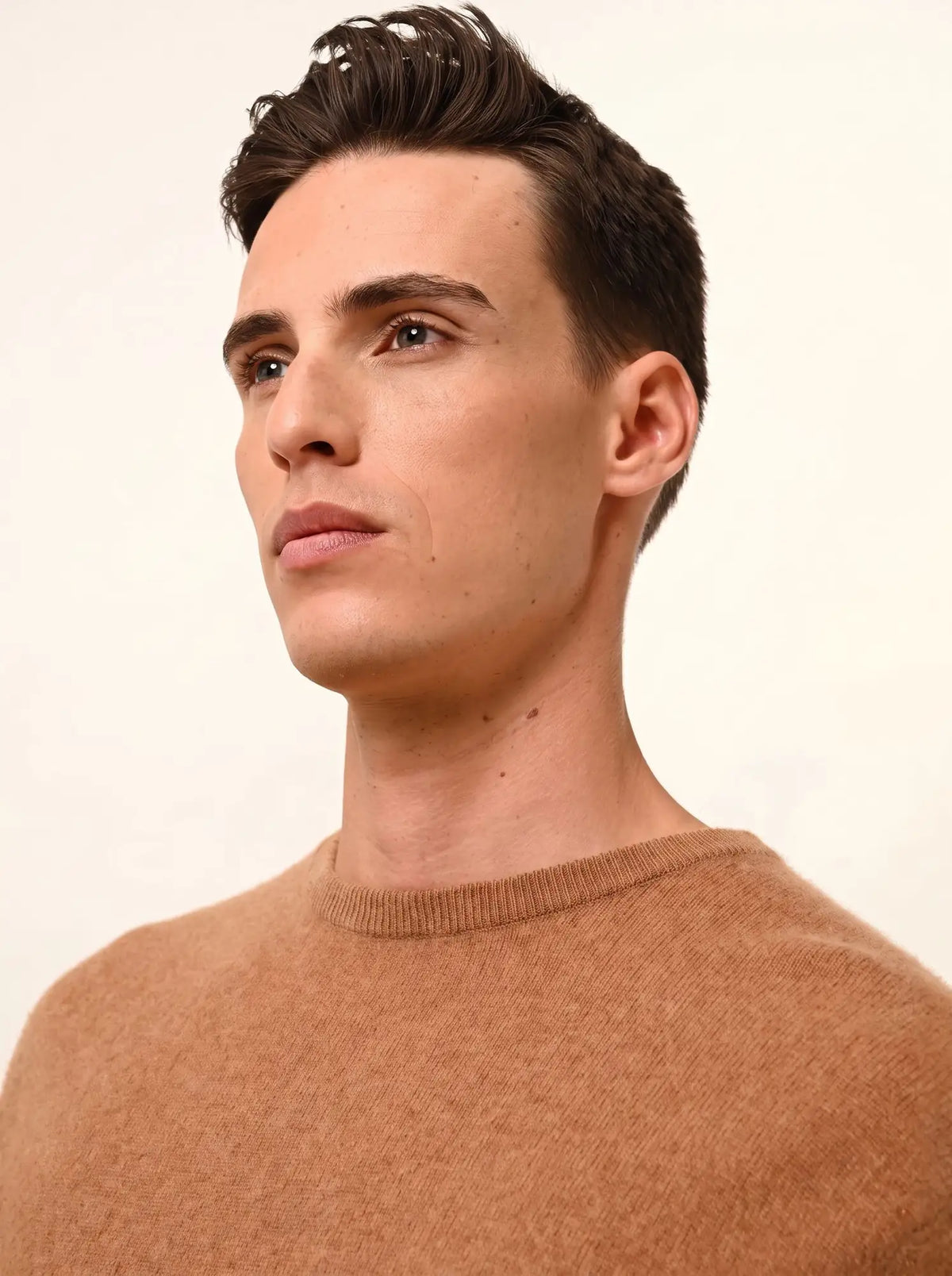 HOWARD Pull Col Rond Noisette