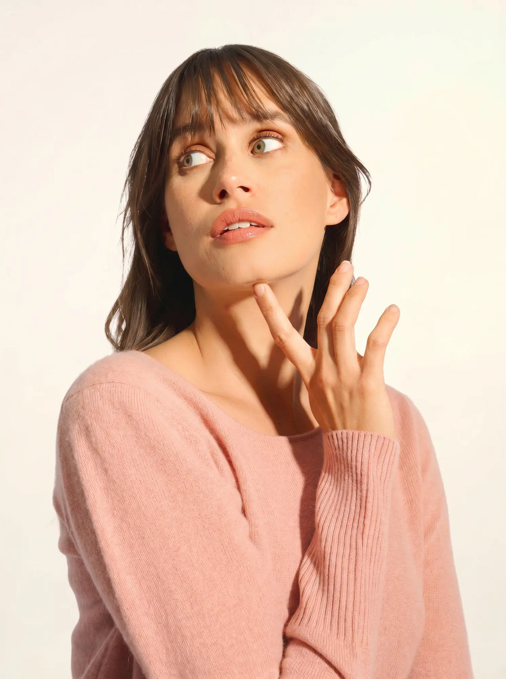 SUSAN Dress Crew Neck Rosewood