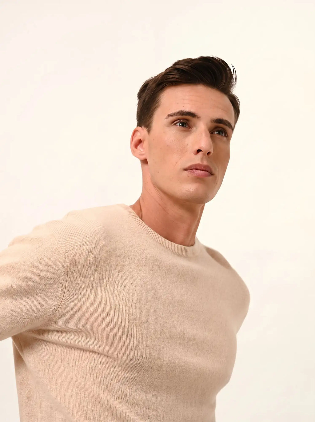 HOWARD Pull Col Rond Sable