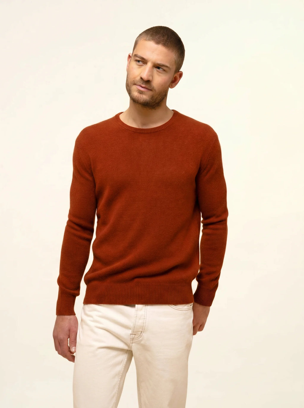 GABIN Sweater Crew Neck 4 Ply Squirrel
