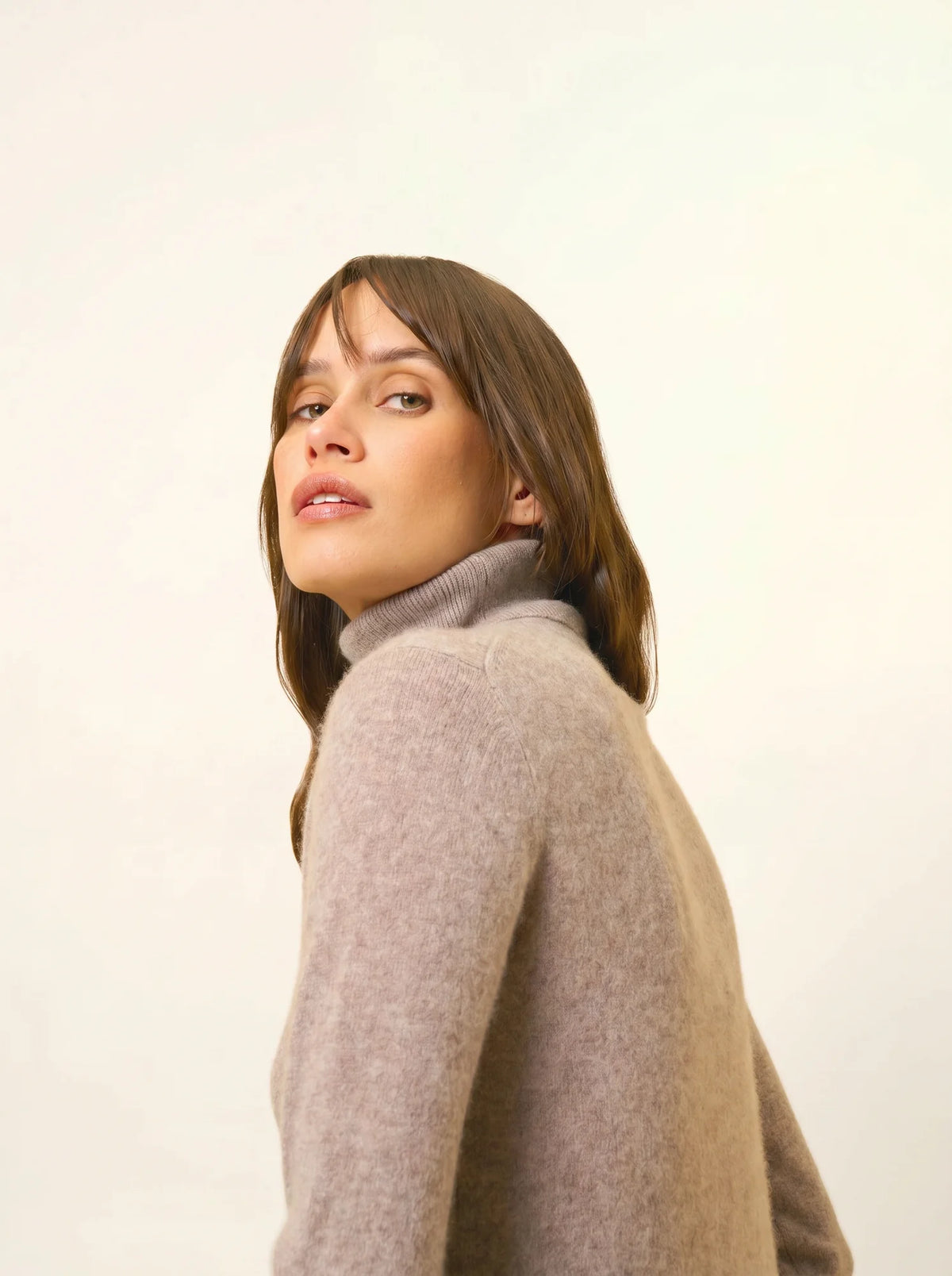 AVA Pull Col Roulé Caribou Chiné
