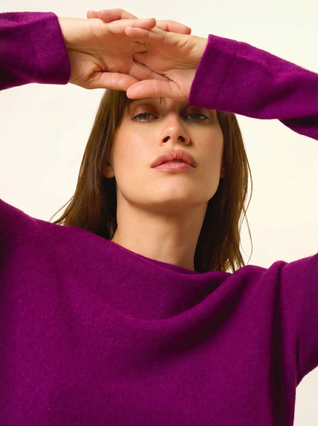 JANE Pull Col Rond Prune
