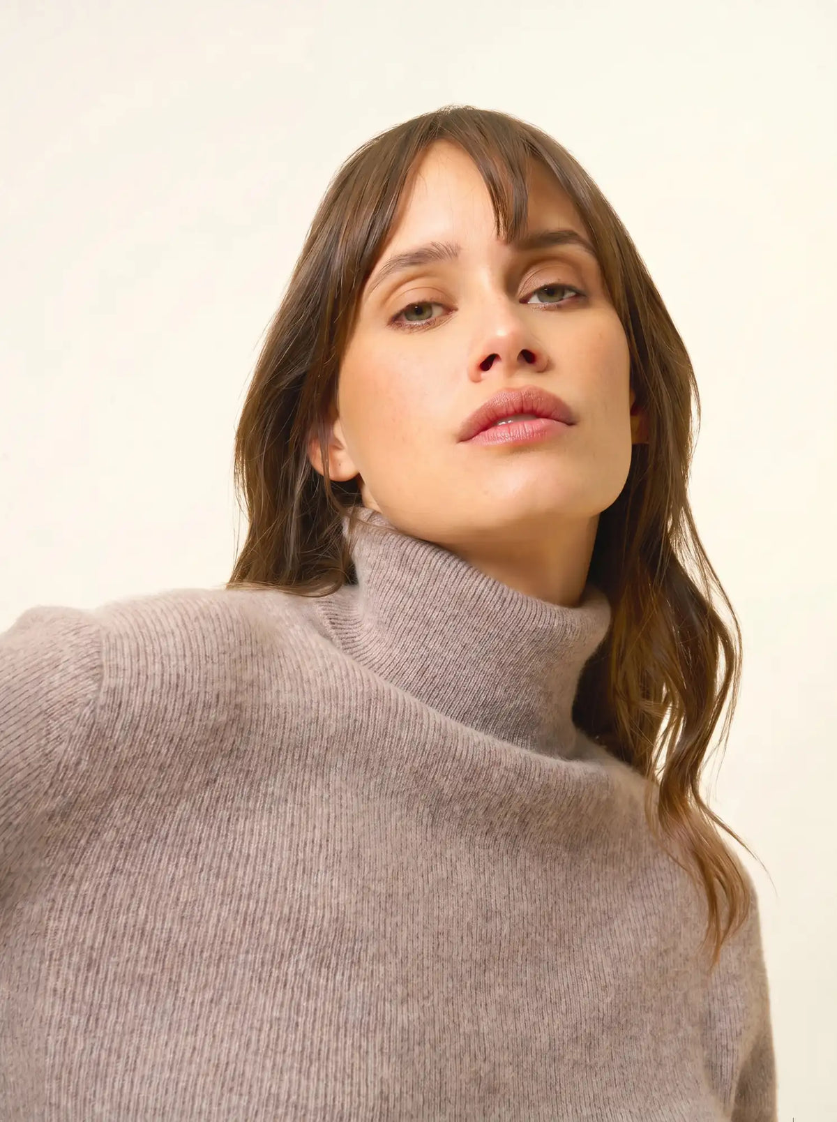LANAIS Pull Col Roulé Caribou Chiné