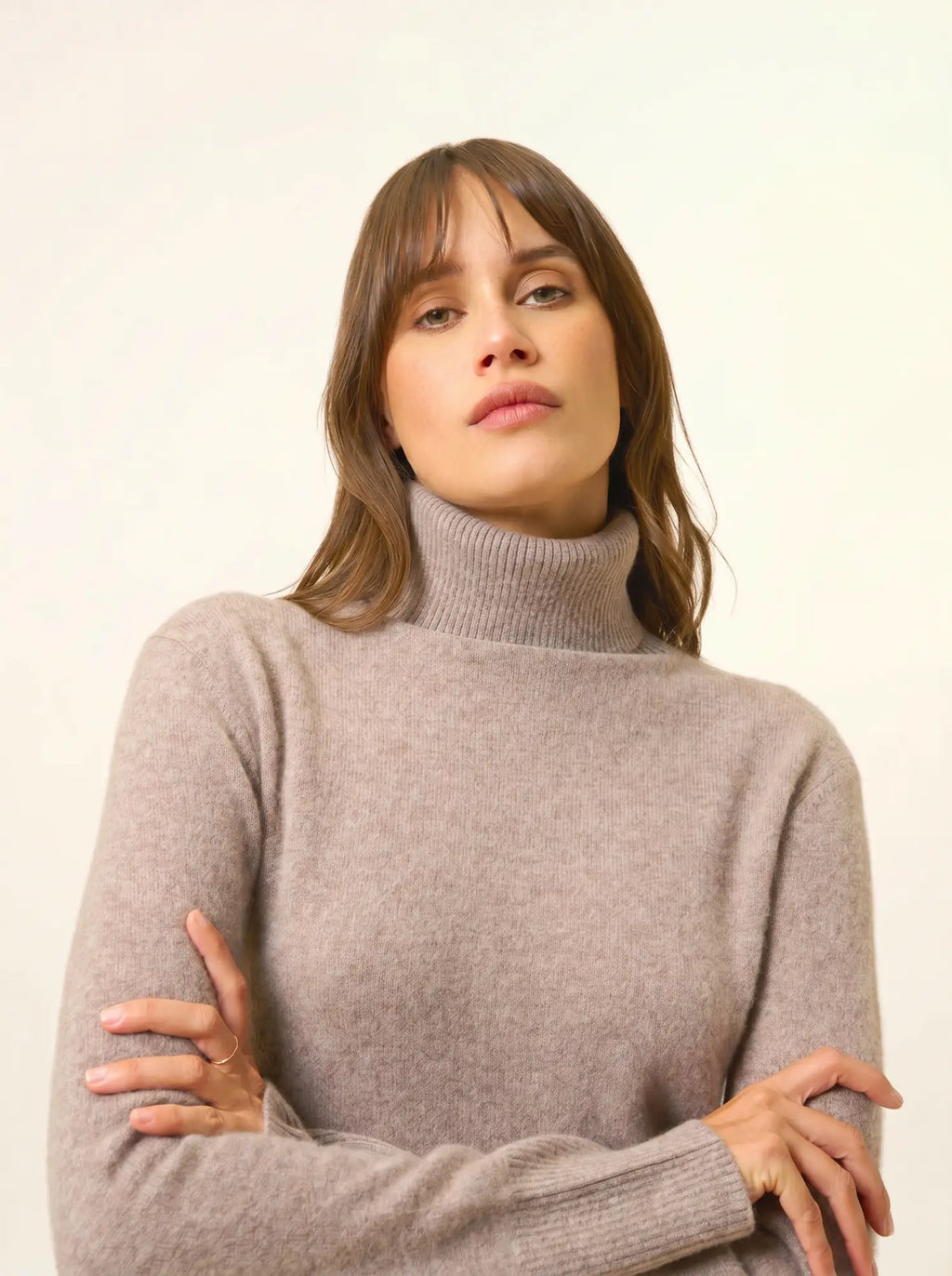 LEXIE Pull Col Roulé Caribou Chiné