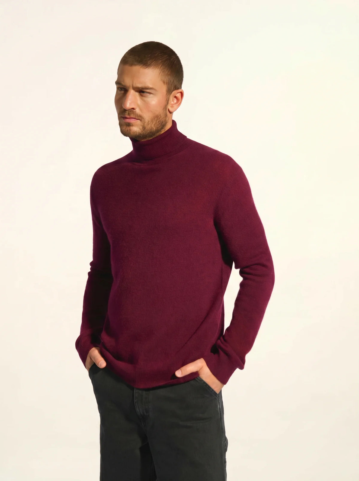 CONNOR Pull Col Roulé Mûre