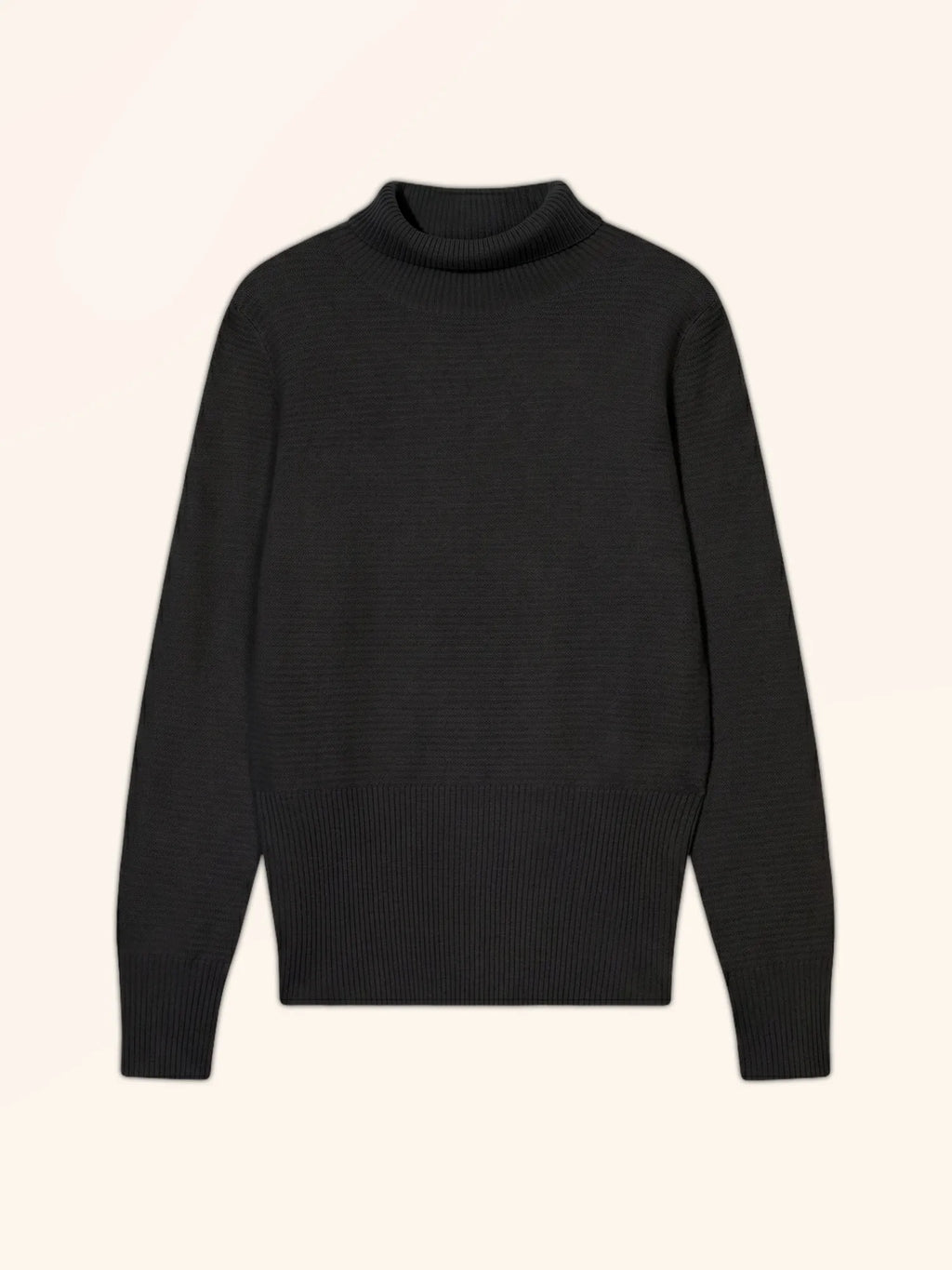 UDNY Sweater Turtleneck Black