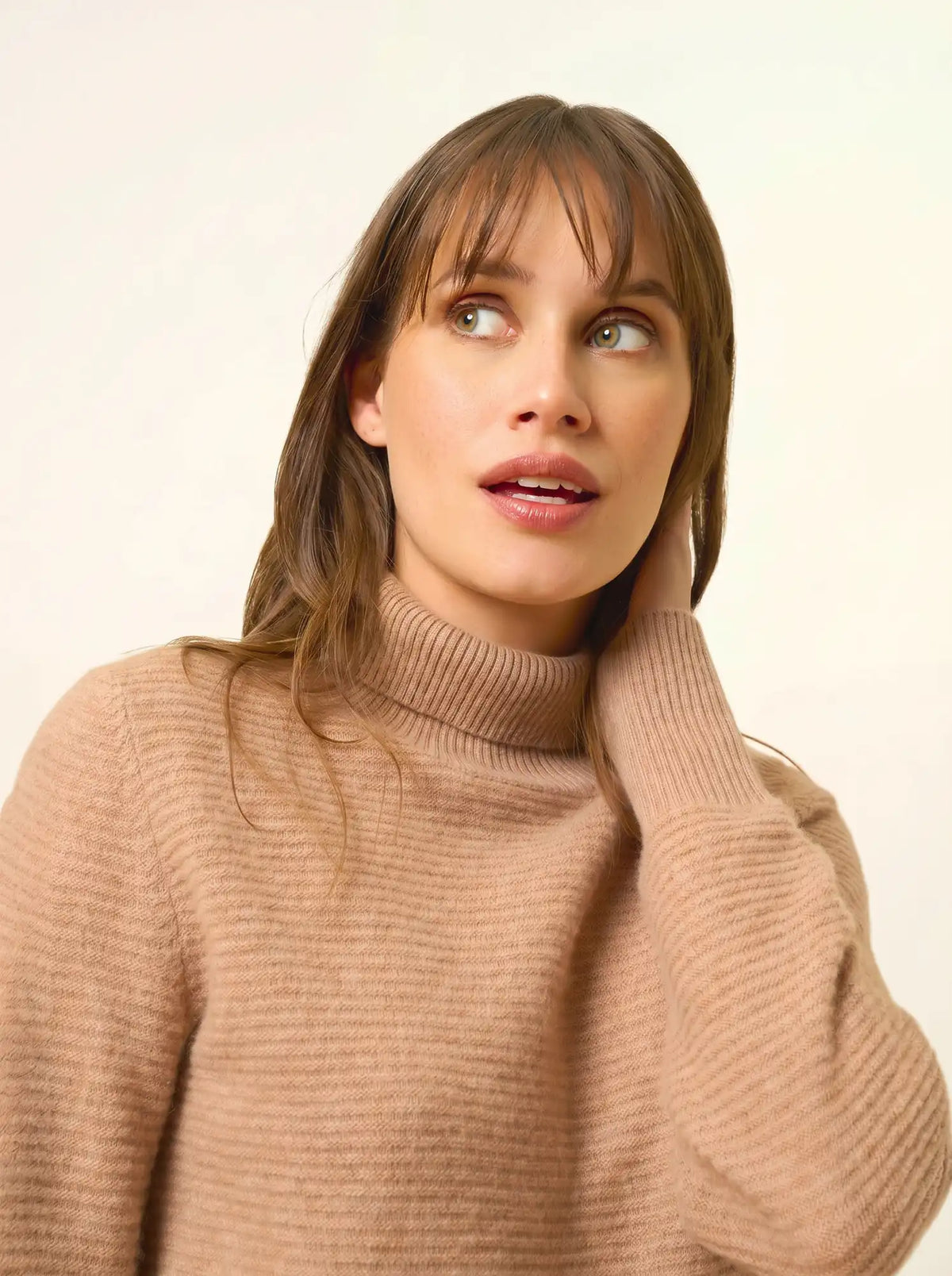UDNY Pull Col Roulé Camel Chiné