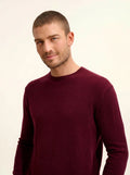 HOWARD Pullover Rundhalsausschnitt Brombeerfarben