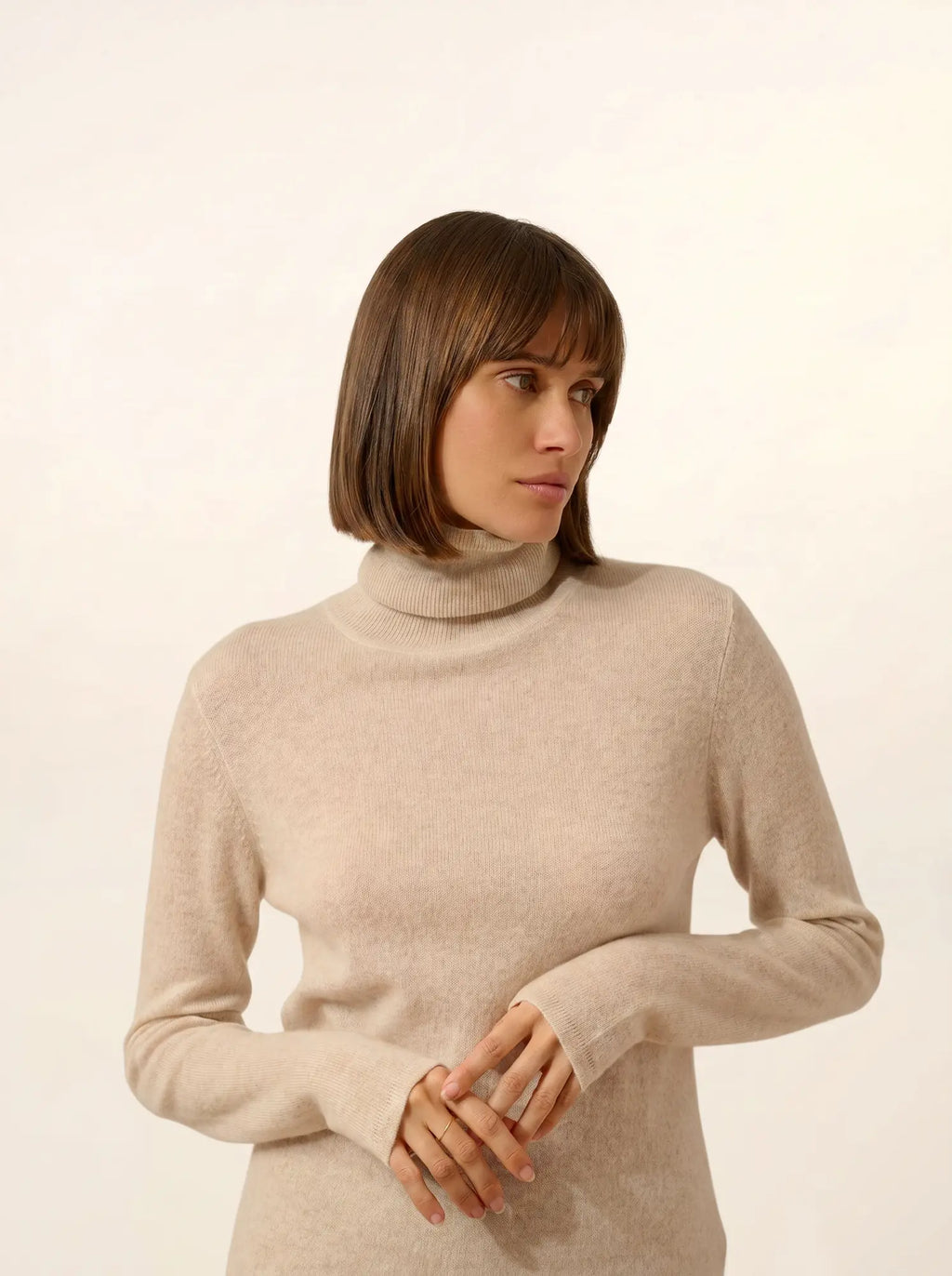 AVA Pull Col Roulé Beige Chiné