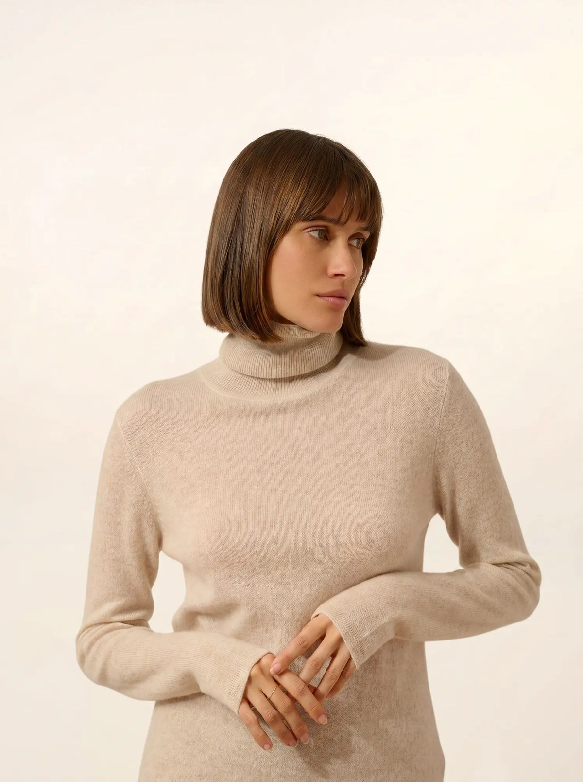 AVA Pullover Rollkragen Beige meliert