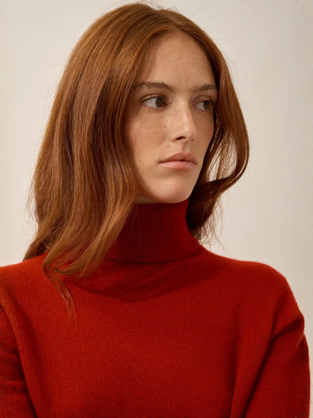 AVA Pull Col Roulé Rubis