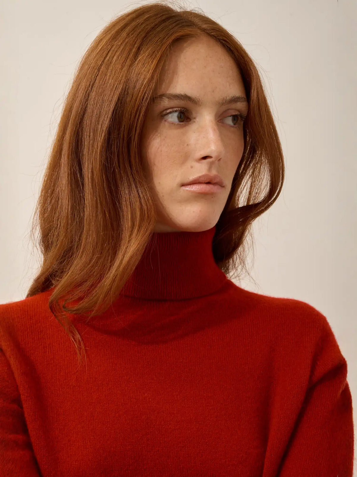AVA Pull Col Roulé Rubis